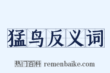 猛鸟反义词是什么意思的图片